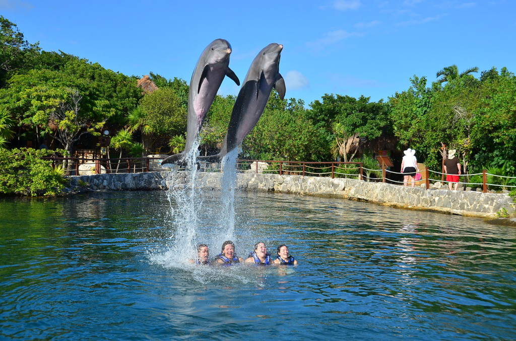 Xel-Ha Swim with Dolphins Illinois Photographer Playa del Carmen Mexico Cancun